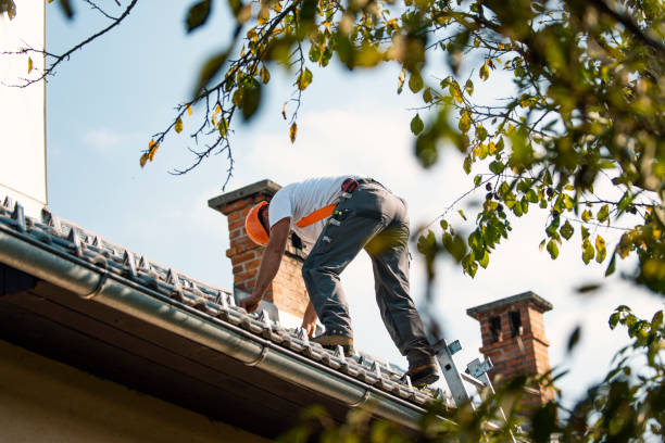 Best Commercial Roofing Services  in Lauderdale Lakes, WI
