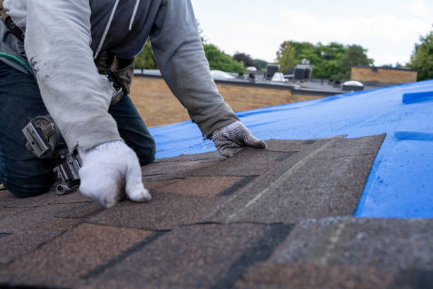 Best Flat Roof Repair Services  in Lauderdale Lakes, WI