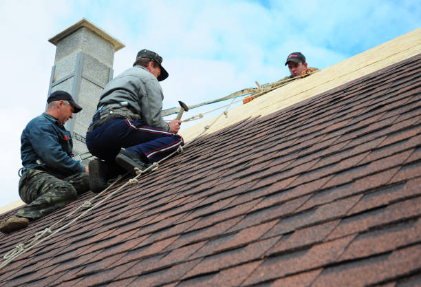 Best Shingle Roofing Installation  in Lauderdale Lakes, WI